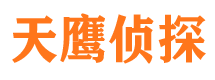 东安私家侦探